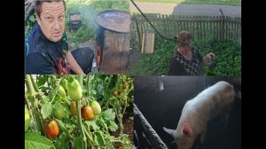 Деревенская жизнь .Дима проткнул ногу всё на Любе.