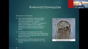 Токсическая нагрузка на организм. Разбираем причины, о которых молчат другие!