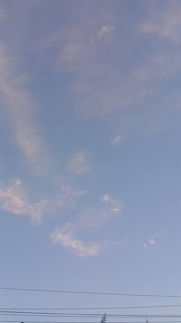 1000032963.mp4 вечер