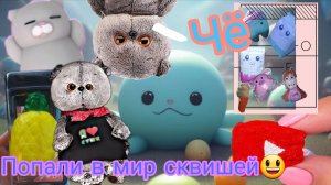 Попали в мир сквишей?😱 а Басики?🧐🤑🤪
