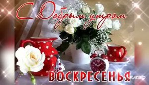 ПРОСНУЛИСЬ,ПОТЯНУЛИСЬ, УЛЫБНУЛИСЬ... ДОБРОГО ВОСКРЕСНОГО УТРА ВАМ 😊