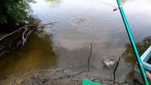 Рыбалка на Тоболе рядом с домом.