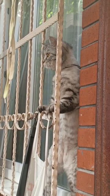 Освобождение #видео #любовь  #жизнь