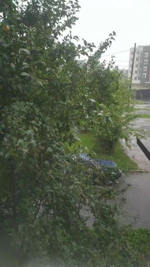 спасибо соня то что она написала мне комментарии