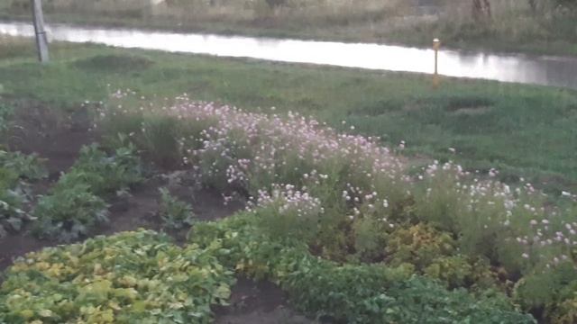 🌧🌧 08.08.2026 Жара закончилась! 😳