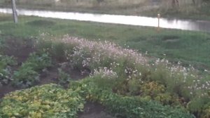 🌧🌧 08.08.2026 Жара закончилась! 😳