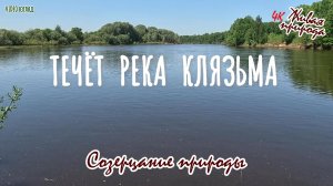 Созерцание живой природы. Течёт река Клязьма