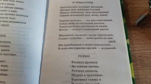 Бальмонт Константин Дмитриевич  «От птицы к птице»