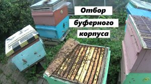 Отбор буферного корпуса