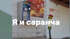 Повесть о мне и саранче| Истории Melon Sandbox