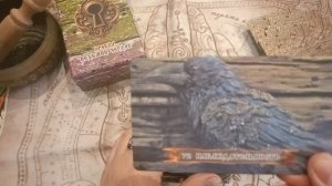 Оракул Ведьмин чердак. Автор Марина Маир