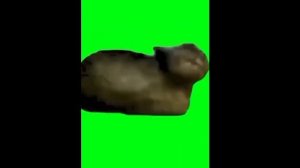уииаи