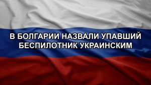 В Болгарии назвали упавший беспилотник украинским