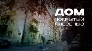 Жители дома на ГРЭСе годами борются с затоплением и плесенью