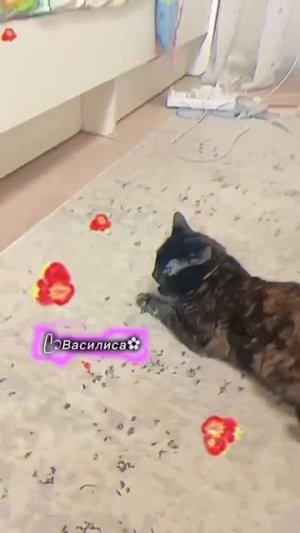 моя булочка 🥰❤️😍😻