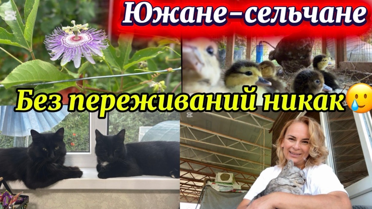 ❤️Рокировка в  птичнике/ Планировать ничего нельзя!!!/ Беспокойное хозяйство