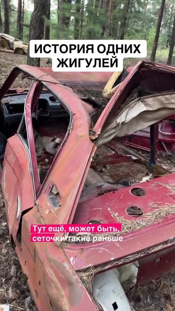 В Зилаире в лесу нашел заброшенные жигули.