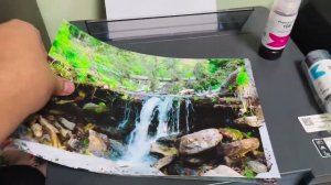 Принтер Epson L8050 через один год работы
