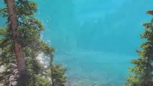 Вот и лето Сергей Чекалин Here comes summer Sergey @music_for_the_soul
