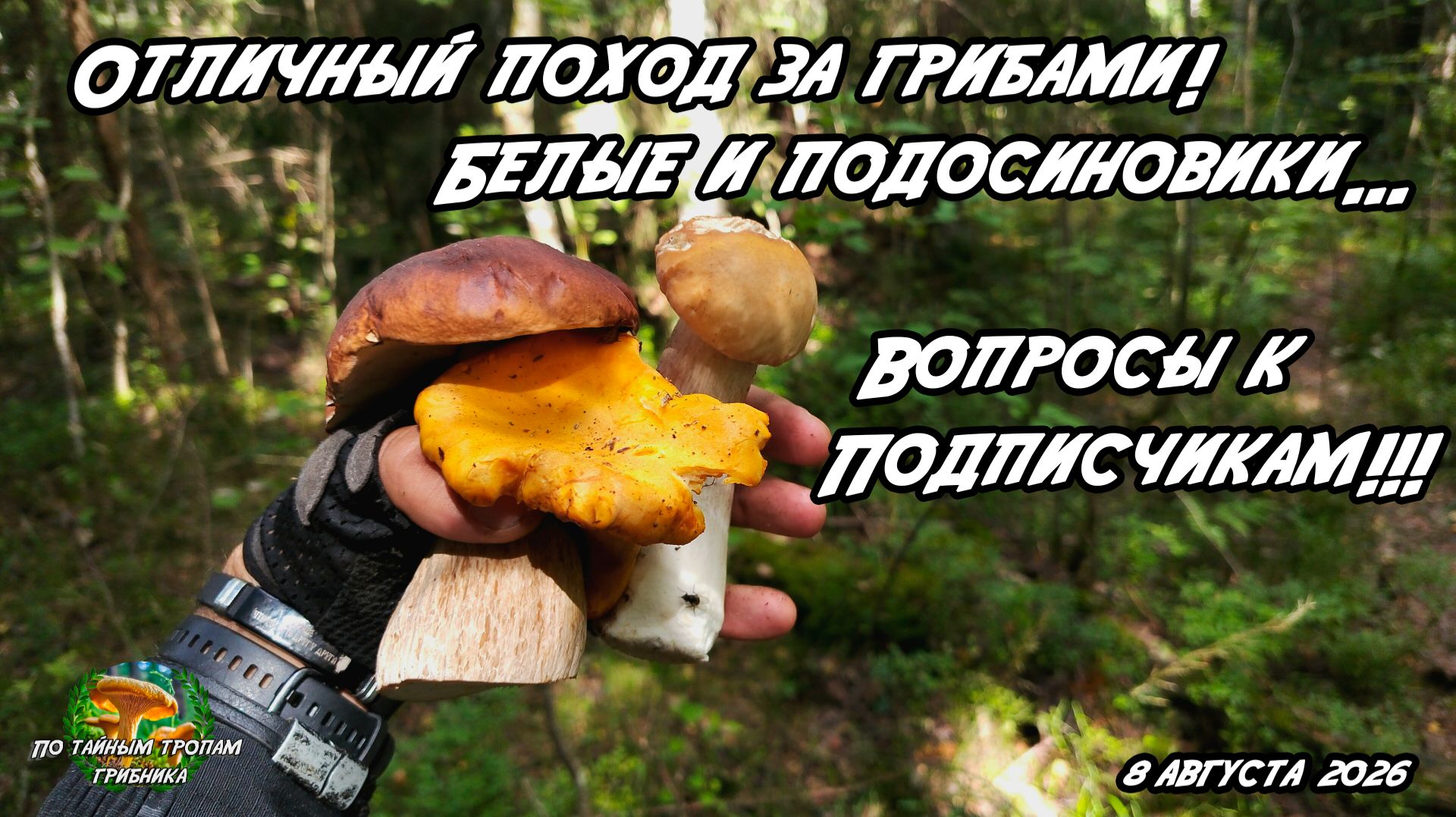 Отличный поход за грибами! Белые и подосиновики... Вопросы к подписчикам!! 8 августа 2026