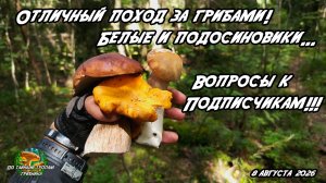 Отличный поход за грибами! Белые и подосиновики... Вопросы к подписчикам!! 8 августа 2026