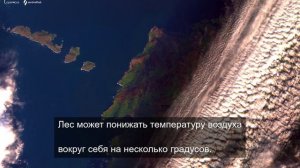 трассы которые ждут победителя
