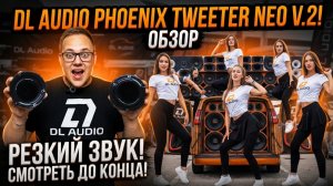 ОБЗОР ТВИТЕРОВ DL AUDIO PHOENIX TWEETER NEO V.2 ПРОСЛУШКА И МНЕНИЕ