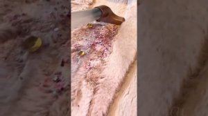 чистки ковров с историями + слаймы следующим антистрессы в воске