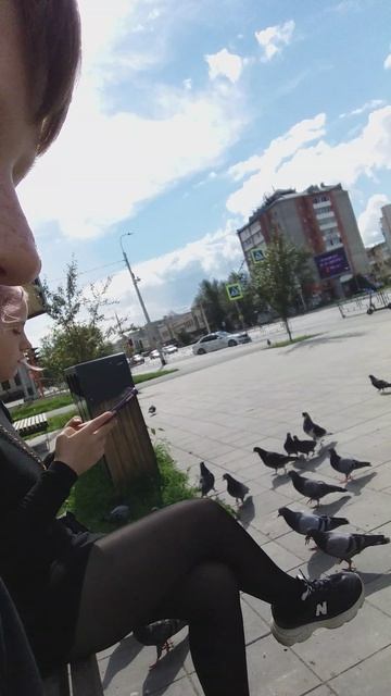 Я и голуби
