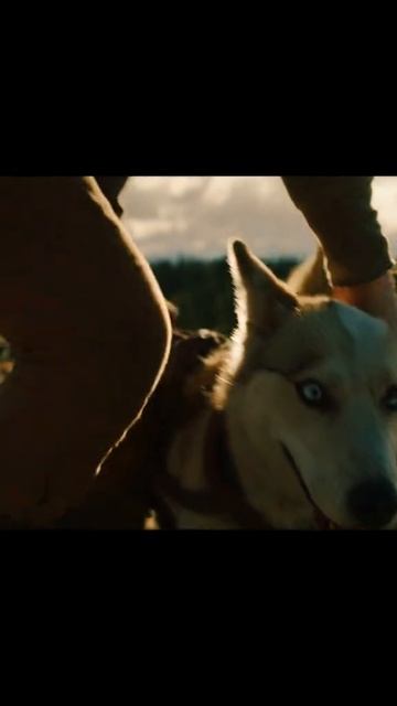 🎬Того (2013)