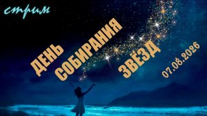Пятничный ночной стрим (07.08.2026) День собирания звёзд