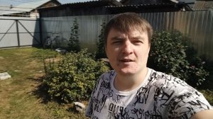 НЕБЫВАЛЫЙ УРОЖАЙ ОГУРЦОВ! / ПОЕХАЛИ С ИРИНОЙ В ГОРОД ВЫБИРАТЬ ЛИНОЛЕУМ 😲