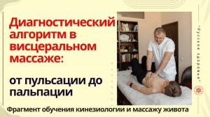 Диагностический алгоритм в висцеральном массаже: от пульсации до пальпации. Фрагмент обучения