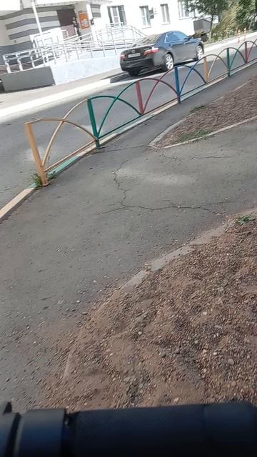 Котаемся с призедентом