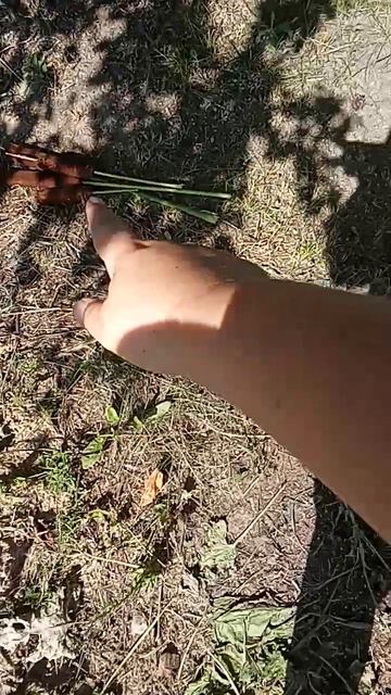 камыши 3 часть