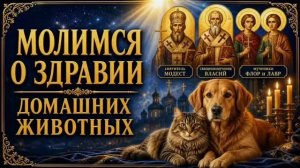 КОМУ МОЛИТЬСЯ О ЗДОРОВЬЕ ДОМАШНИХ ЖИВОТНЫХ | ПРАВОСЛАВНЫЕ СВЯТЫЕ И МОЛИТВЫ
