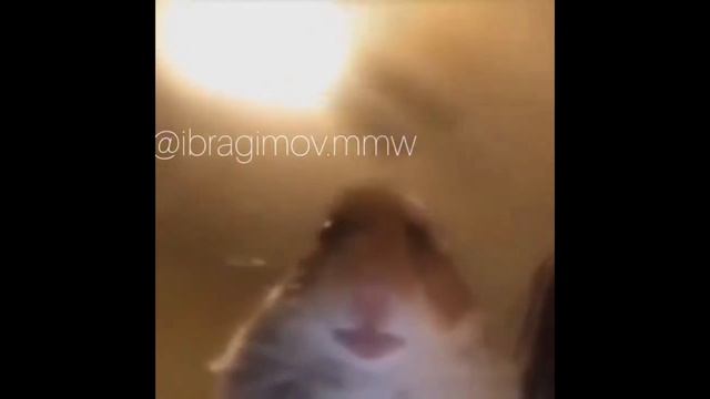 я хз чо снять но я ща улетаю