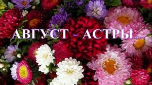 АВГУСТ - АСТРЫ... исп. ЕЛЕНА  ФРОЛОВА. Стихи МАРИНЫ ЦВЕТАЕВОЙ.