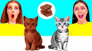Челлендж. Шоколадная Еда vs Настоящая еда # Сумасшедшие Кулинарные Идеи от DoDo Challenge