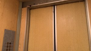 ✨Интересный пассажирский лифт КМЗ 1996 г. | рп. Михнево, ул. Правды, 8А