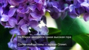 непокоренные трассы ждут своего чемпиона