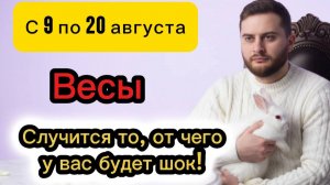 Весы - 9-20 августа. Таро. Случится то, от чего у вас будет шок!