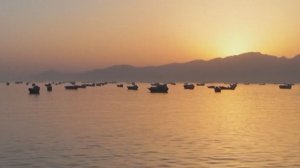 Западное оружие остановило морской экспорт украинской сельхозпродукции