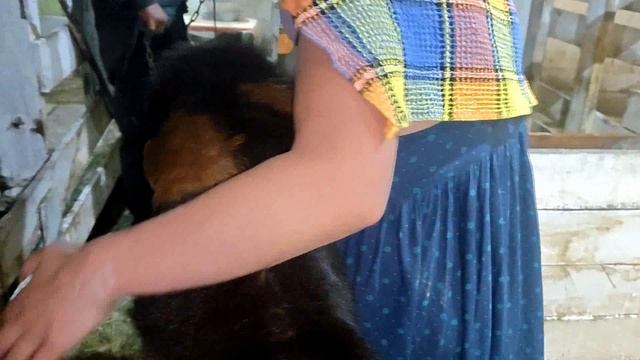 РАСПРОДАЛА ХОЗЯЙСТВО