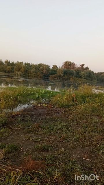На рыбалке поймал карася
