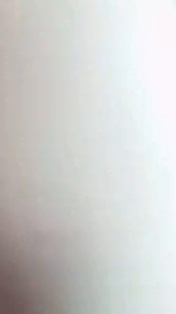 смешные животные
