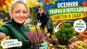 Осенняя уборка и пересадка цветов в саду!