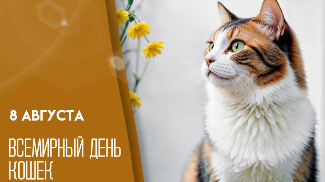 С днём кошек. Самая лучшая музыкальная открытка.