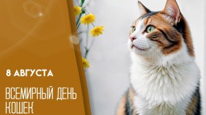 С днём кошек. Самая лучшая музыкальная открытка.