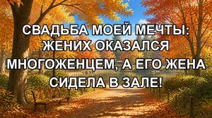 Свадьба моей мечты: жених оказался многоженцем, а его жена сидела в зале!